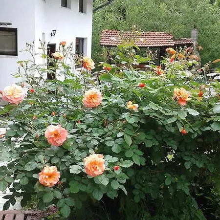 Planinska Sreshta 3* Balkanets (Lovech)