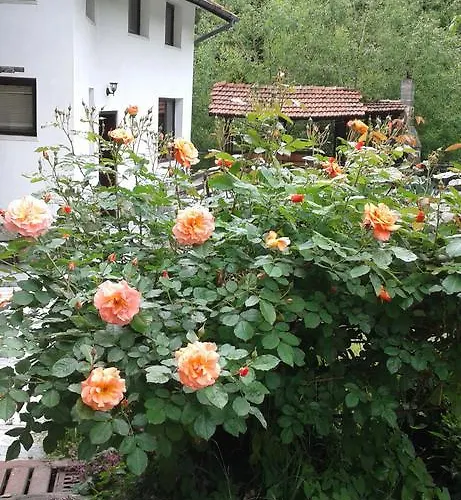 Planinska Sreshta 3* Balkanets (Lovech)